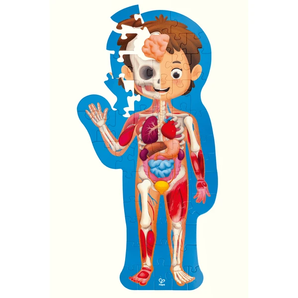 Hape Puzzle "Mein Körper" 60-tlg. 3 Hape Puzzle "Mein Körper" 60-tlg.