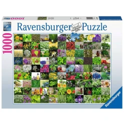 Ravensburger 99 Kräuter Und Gewürze Bunt