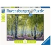 Ravensburger Birkenwald Bunt 1 Ravensburger Birkenwald Bunt -Atmosphera Shop ravensburger birkenwald bunt a385977