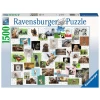 Ravensburger Funny Animals Collage Bunt 1 Ravensburger Funny Animals Collage Bunt -Atmosphera Shop ravensburger funny animals collage bunt a385892