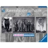 Ravensburger Panter, Elefanten, Löwe Bunt -Atmosphera Shop ravensburger panter elefanten loewe bunt a385916